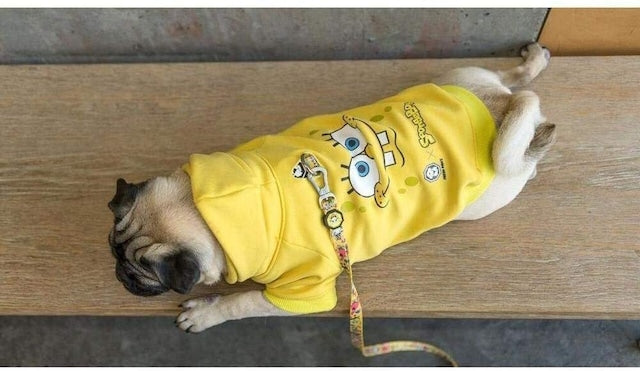 Official Licensed SPONGEBOB X FRESH PAWZ SB Face Hoodie