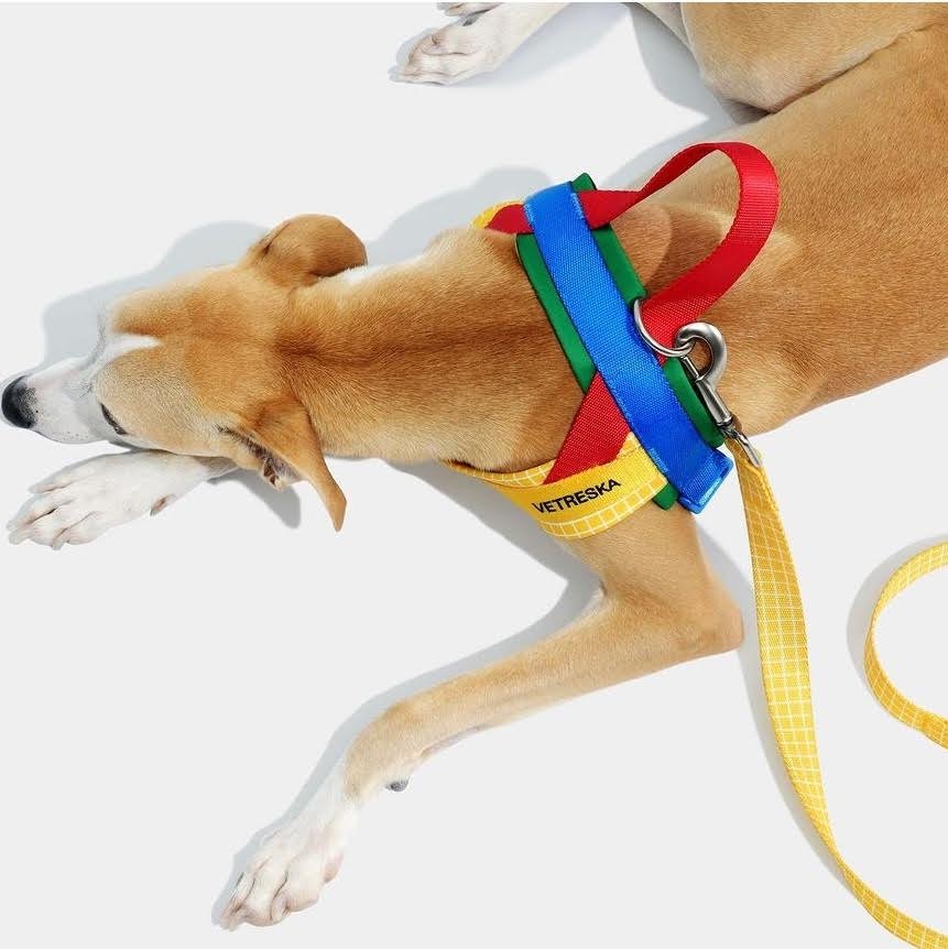 VETRESKA CHROMA PET HARNESS&LEASH SET
