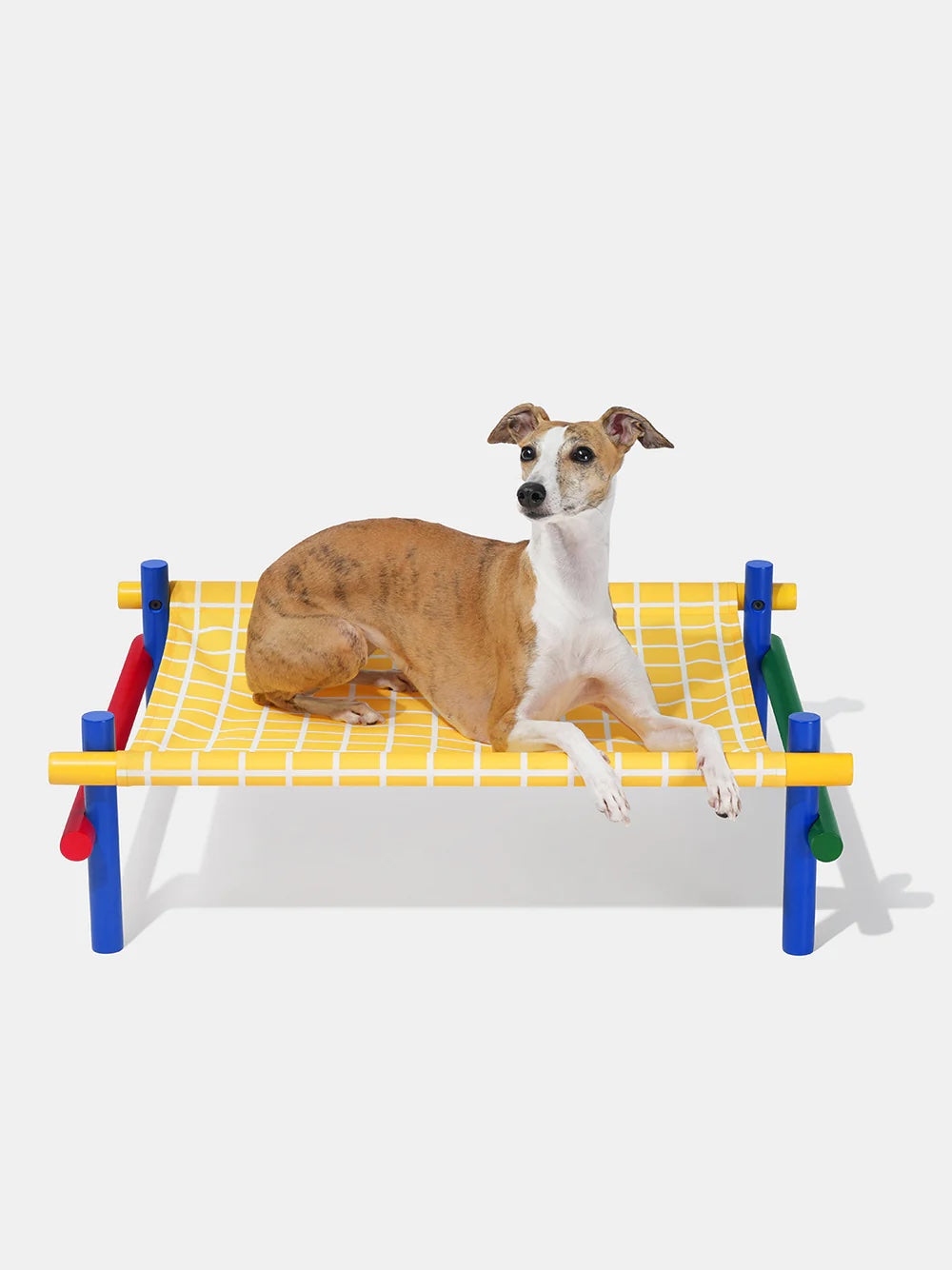 VETRESKA CHROMA ELEVATED PET BED -YELLOW