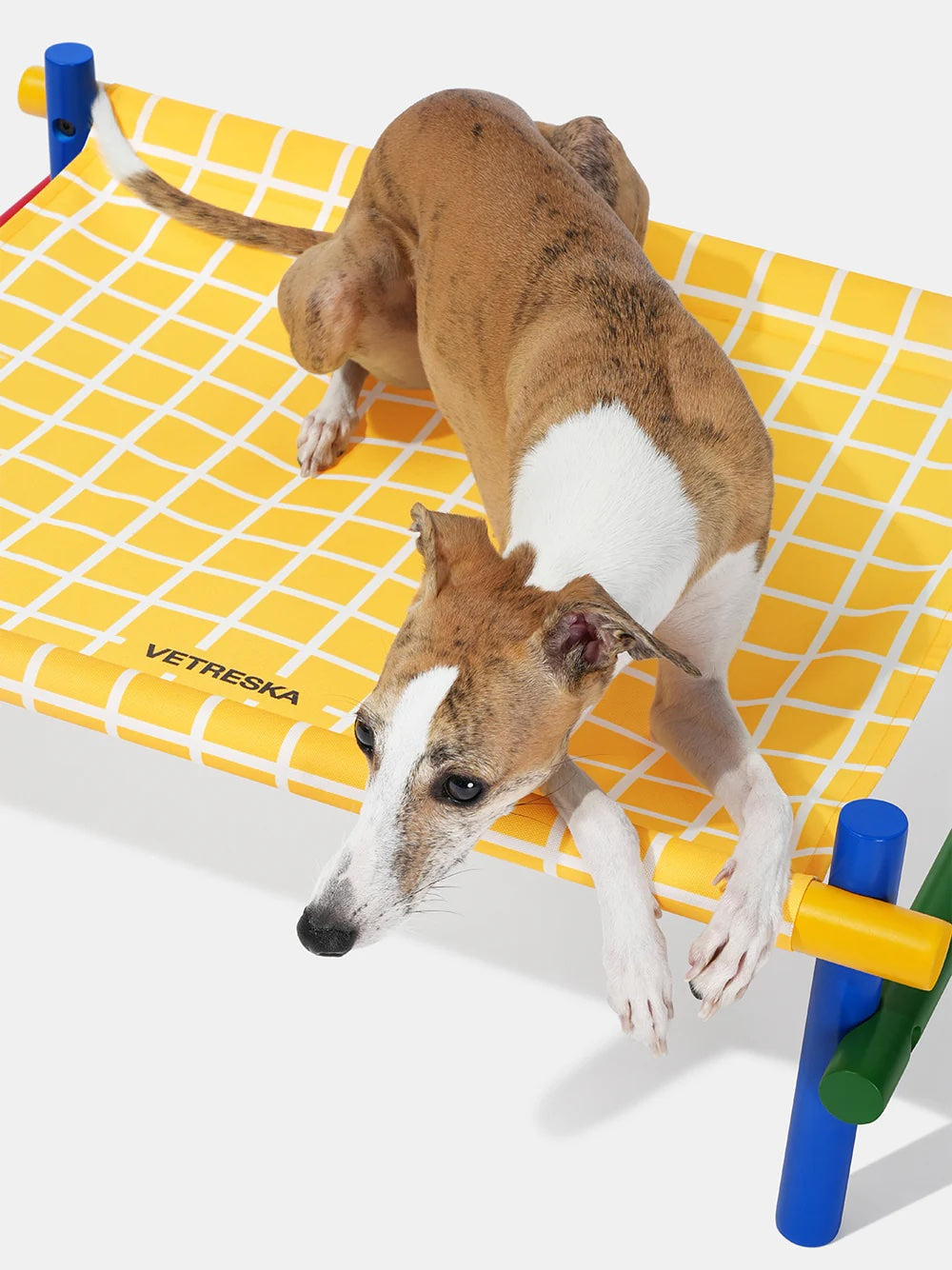 VETRESKA CHROMA ELEVATED PET BED -YELLOW