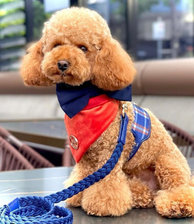 HGP Dog Harness-The Indigo