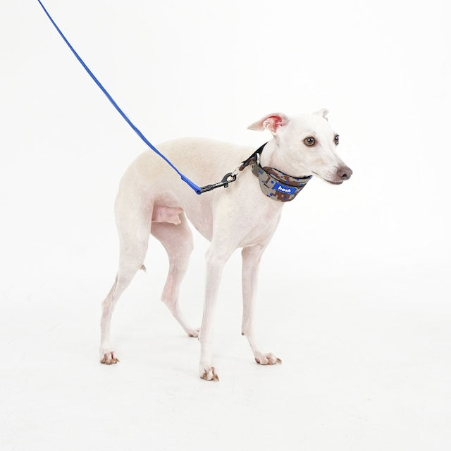 hosh Camo Collar Blue-Dot