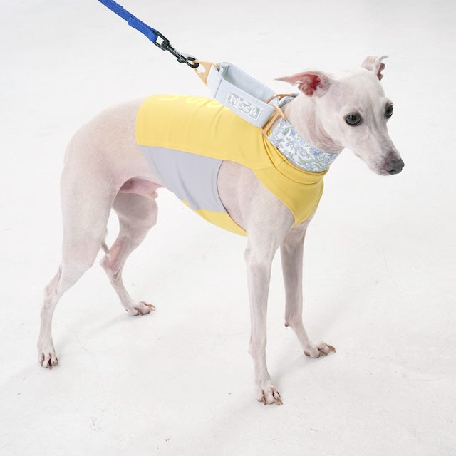 hosh Flower Collar Blue
