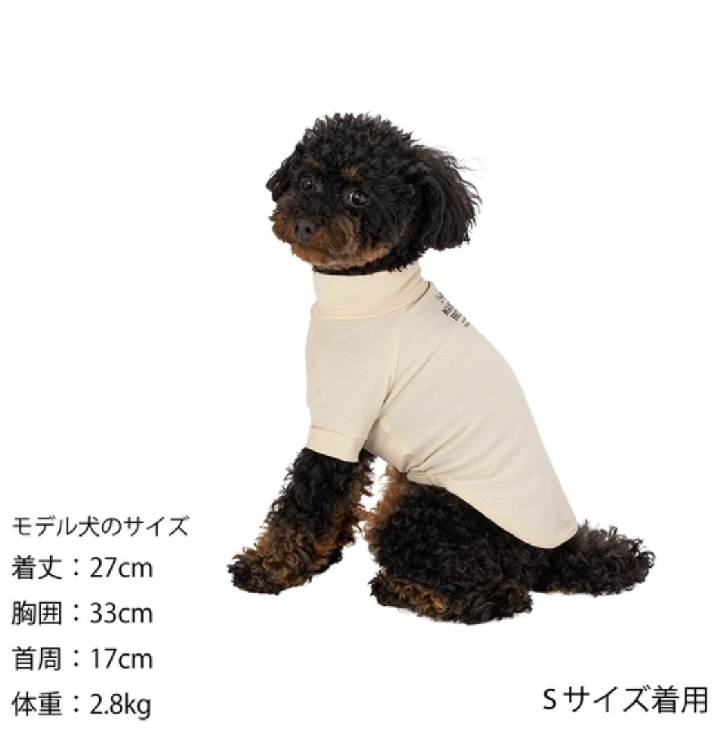 2024 SS MANDARINE BROTHERS SKIN TIGHT COOL T-SHIRT