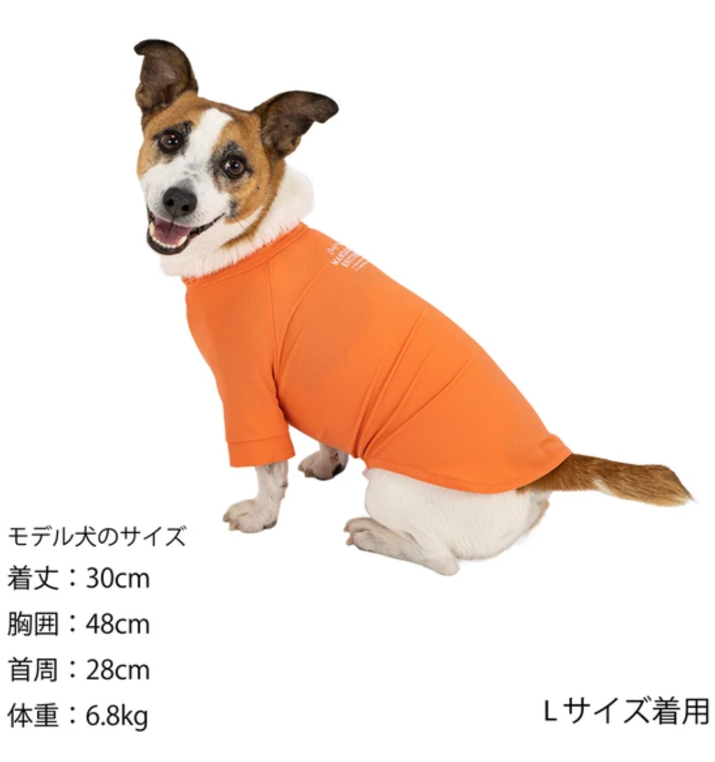 2024 SS MANDARINE BROTHERS SKIN TIGHT COOL T-SHIRT