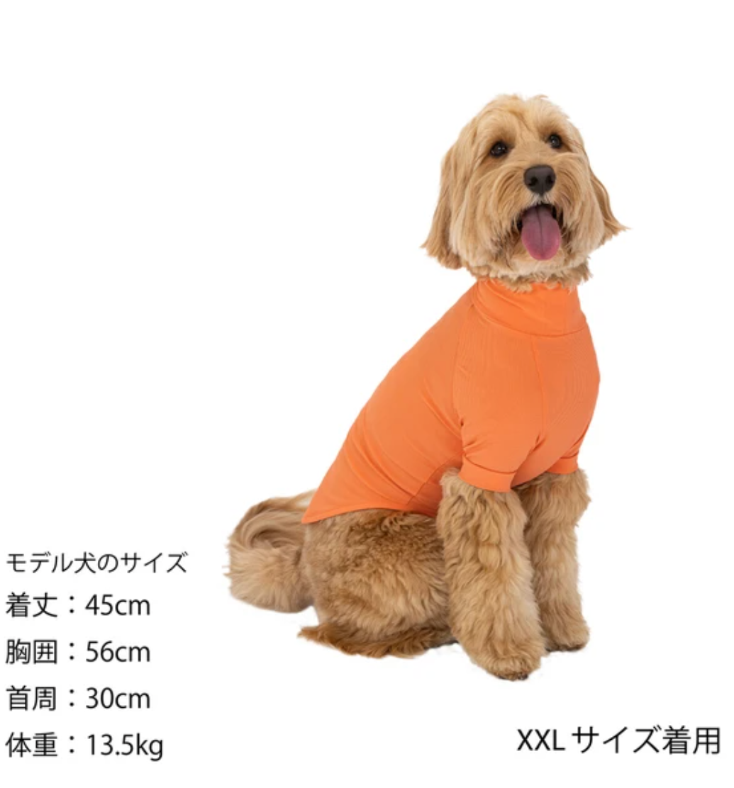 2024 SS MANDARINE BROTHERS SKIN TIGHT COOL T-SHIRT