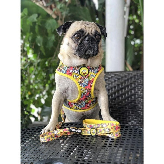 Official Licensed SPONGEBOB X FRESH PAWZ -SB & FRIENDS Dog Leash