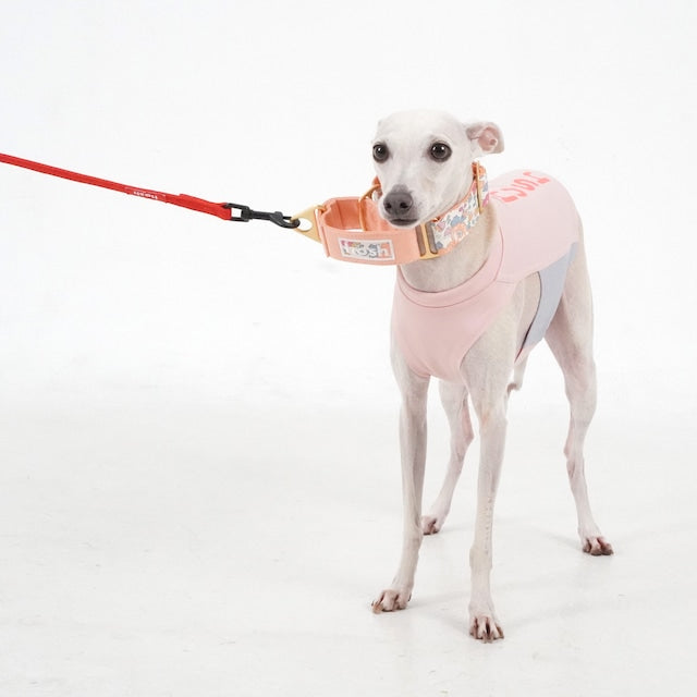 hosh Flower Collar Orange