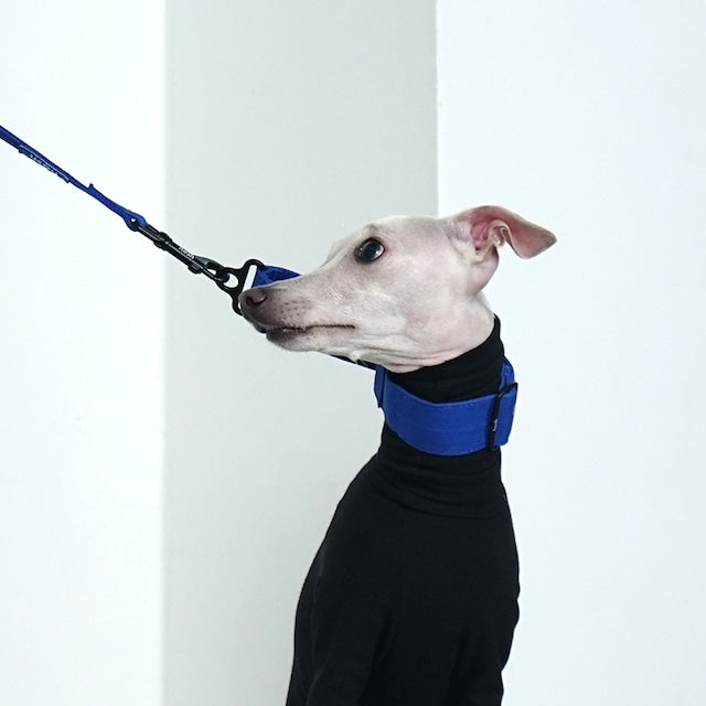 hosh Primary Collar Blue