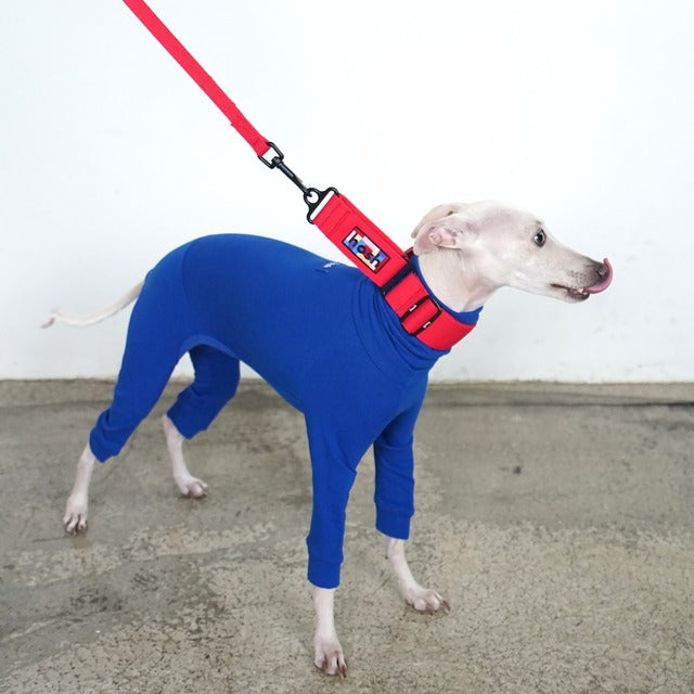 hosh Primary Leash Red/Blue