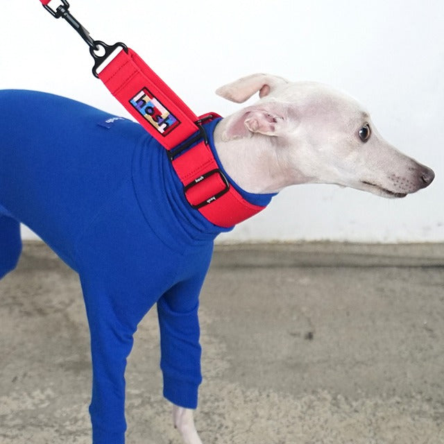 hosh Primary Collar Red