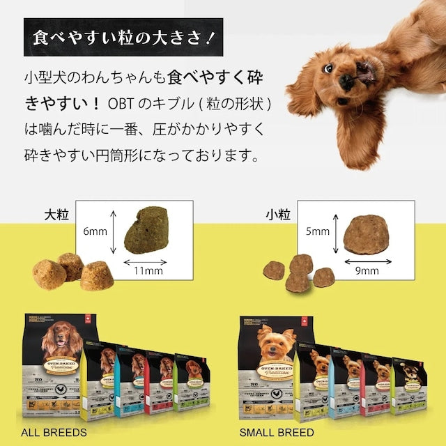 OVEN-BAKED TRADITION GRAIN FREE RED MEET DOG FOOD