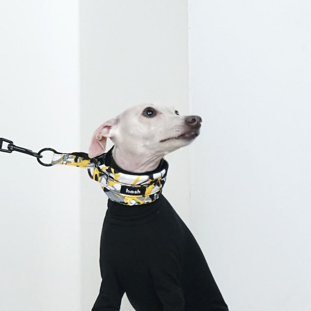 hosh Paint Collar Yellow