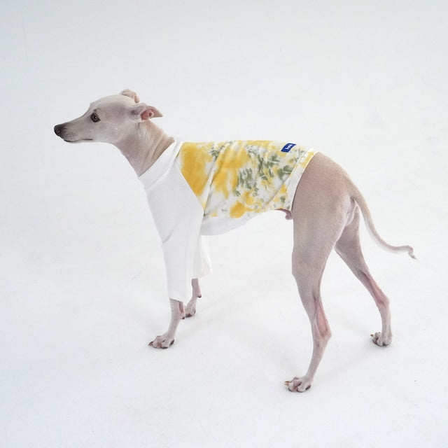hosh Flower Cropped Tee White