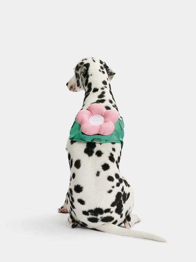 VETRESKA FLORA PET HARNESS BACKPACK WITH LEASH