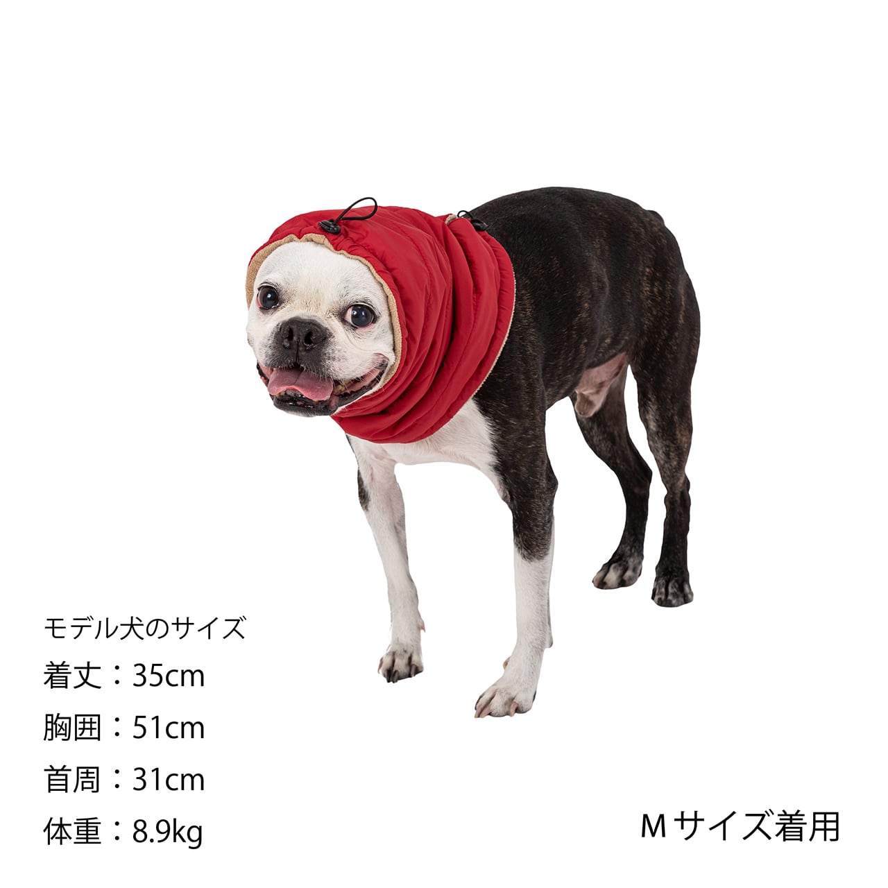 MANDARINE BROTHERS NECK WARMER