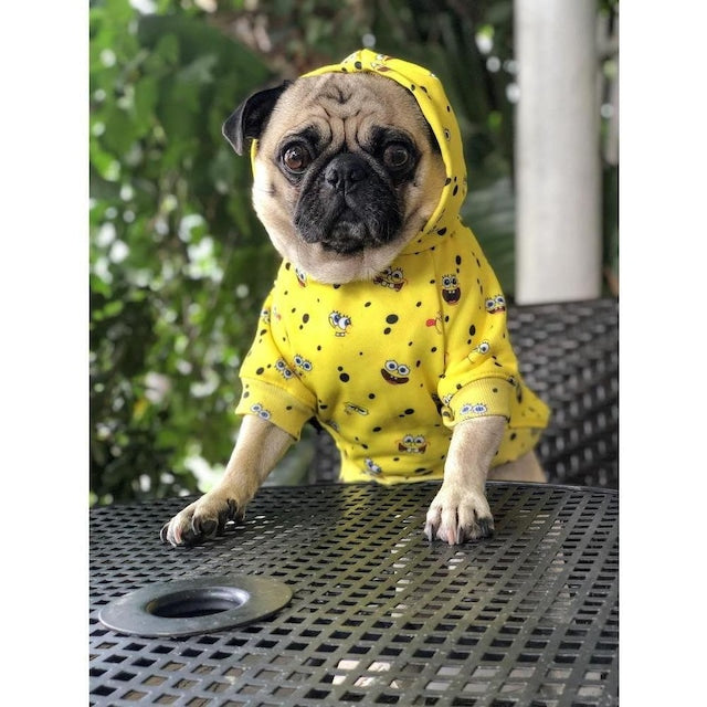 Official Licensed SPONGEBOB X FRESH PAWZ SB All Over Hoodie