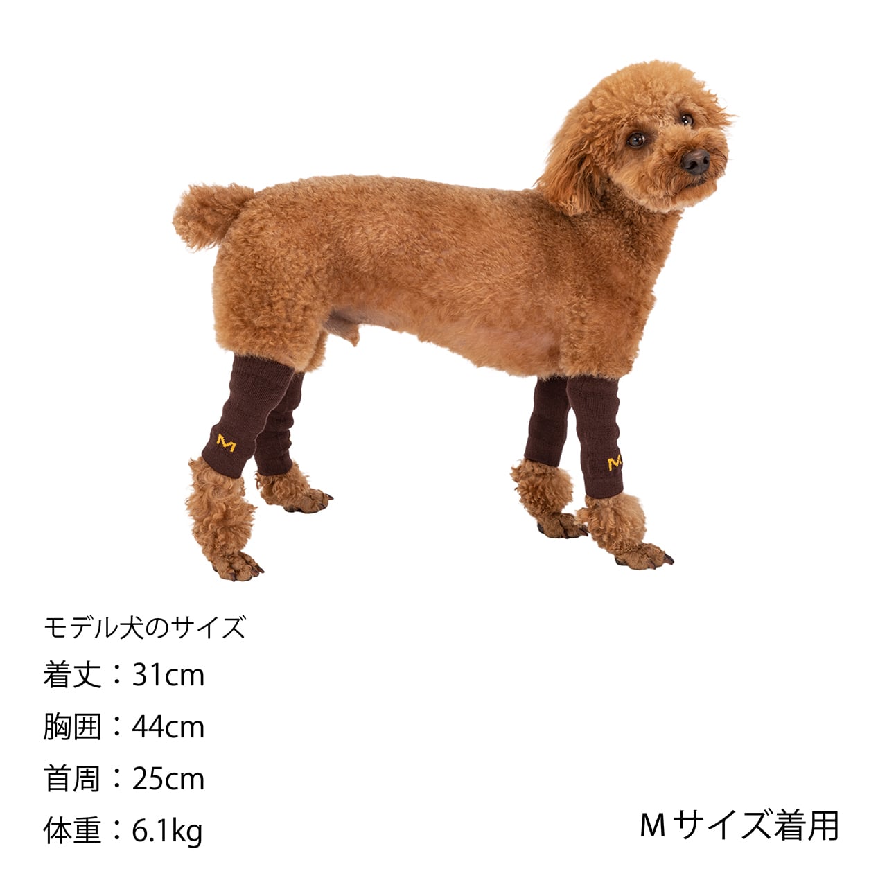 MANDARINE BROTHERS LEG WARMER