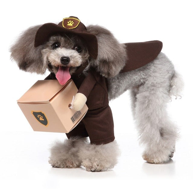 UPS Delivery Dog Costume