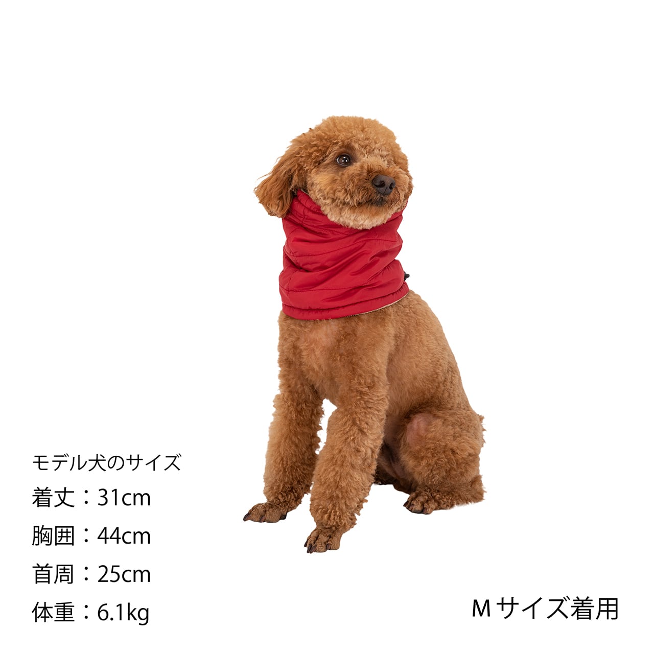 MANDARINE BROTHERS NECK WARMER