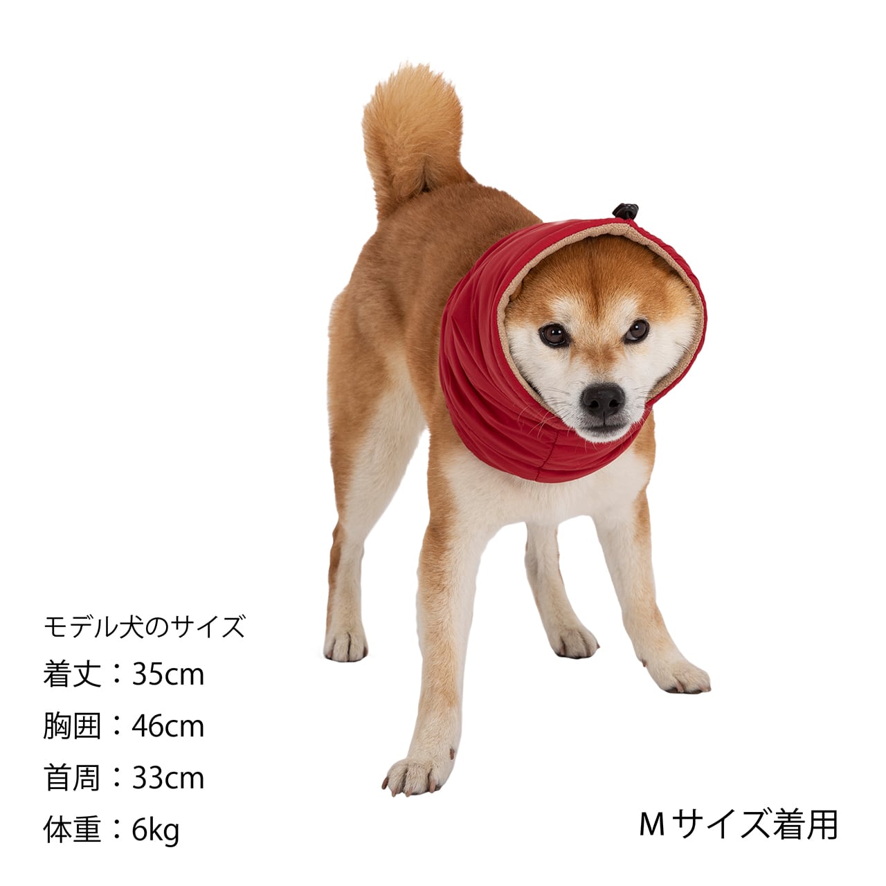 MANDARINE BROTHERS NECK WARMER