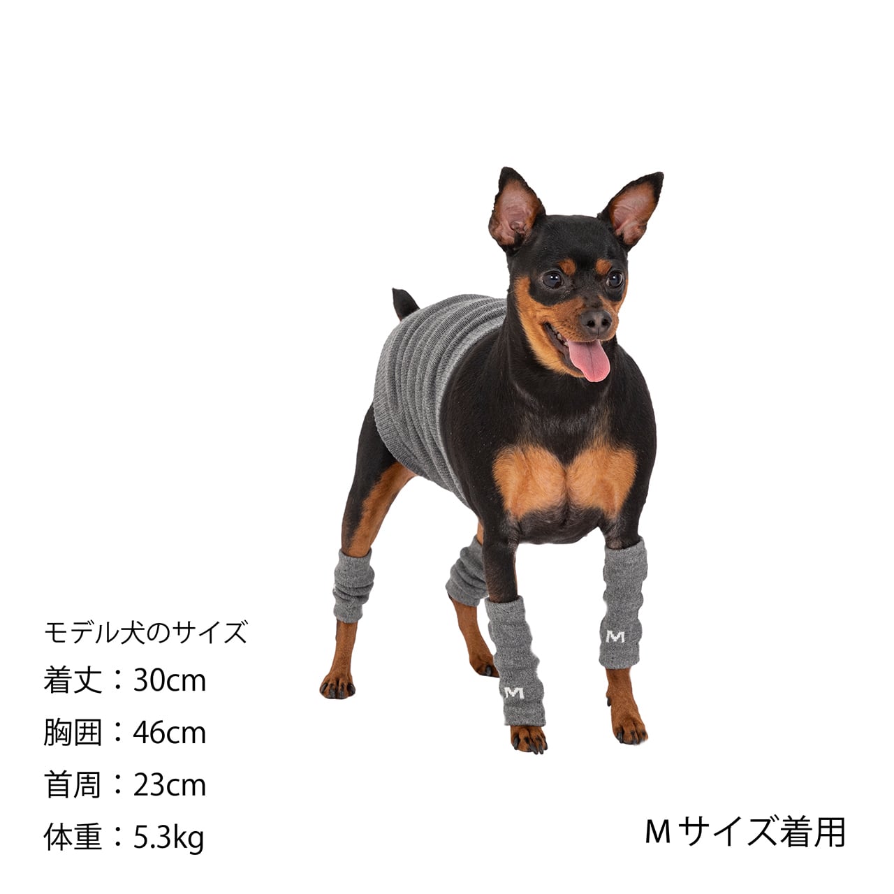 MANDARINE BROTHERS LEG WARMER