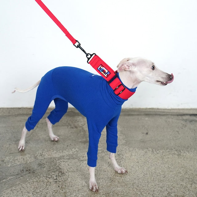 hosh Primary Collar Red