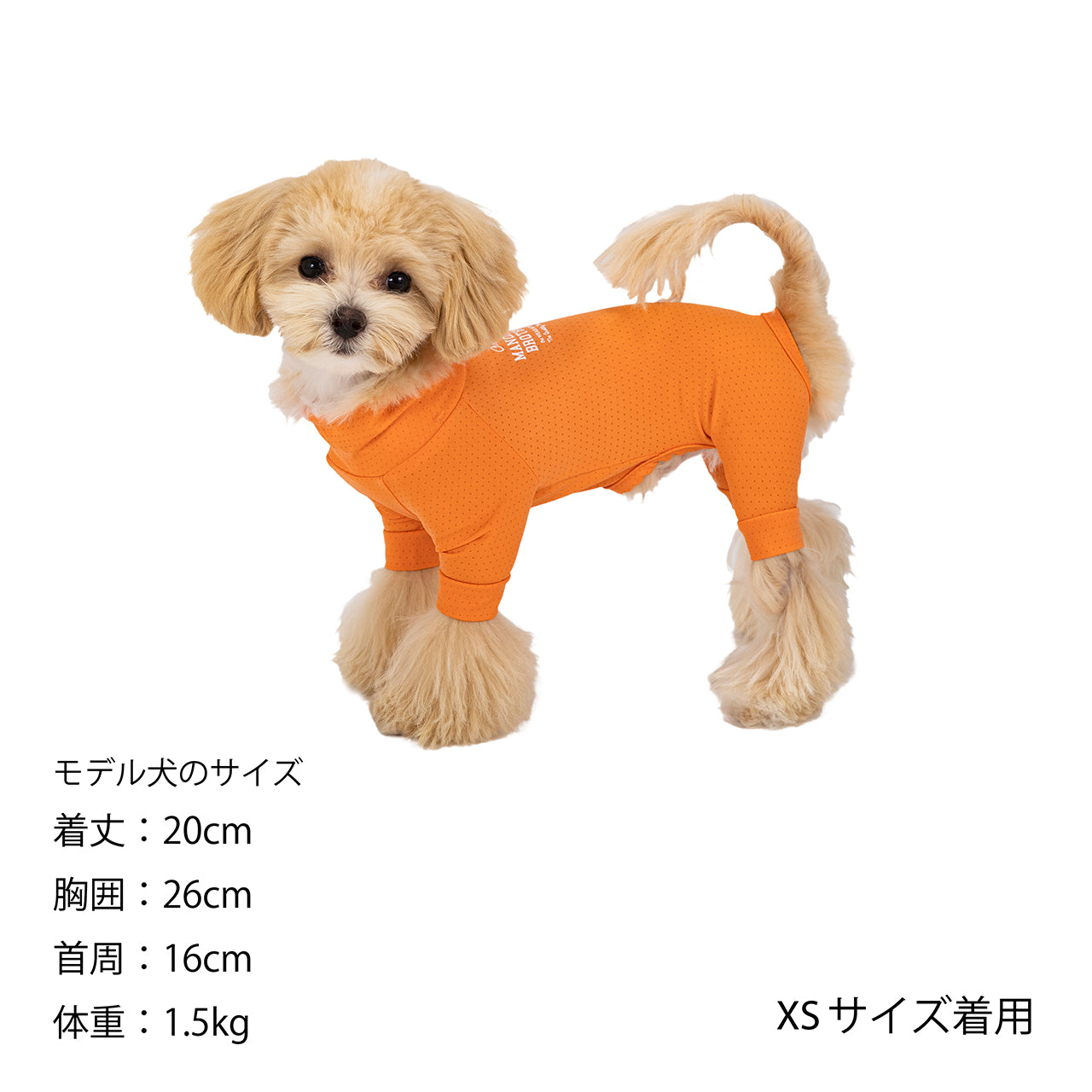 MANDARINE BROTHERS INSECT SHIELD SKIN TIGHT SUIT