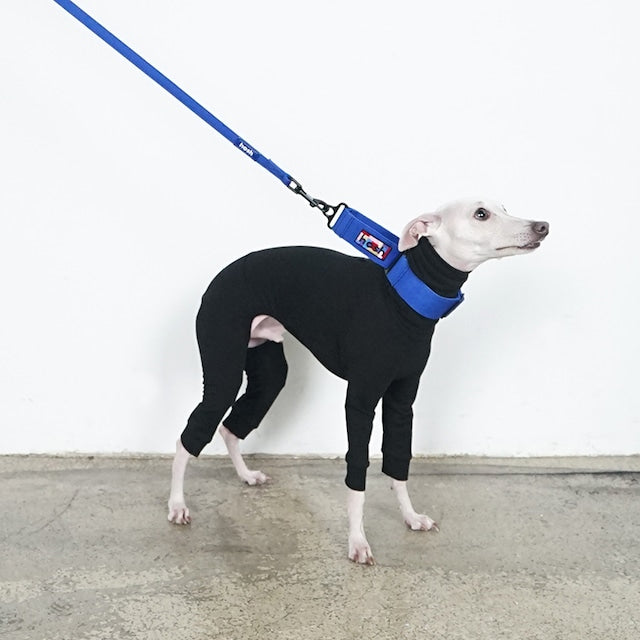hosh Primary Collar Blue