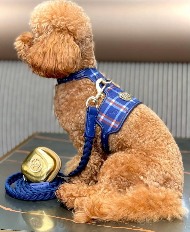 HGP Dog Harness-The Indigo
