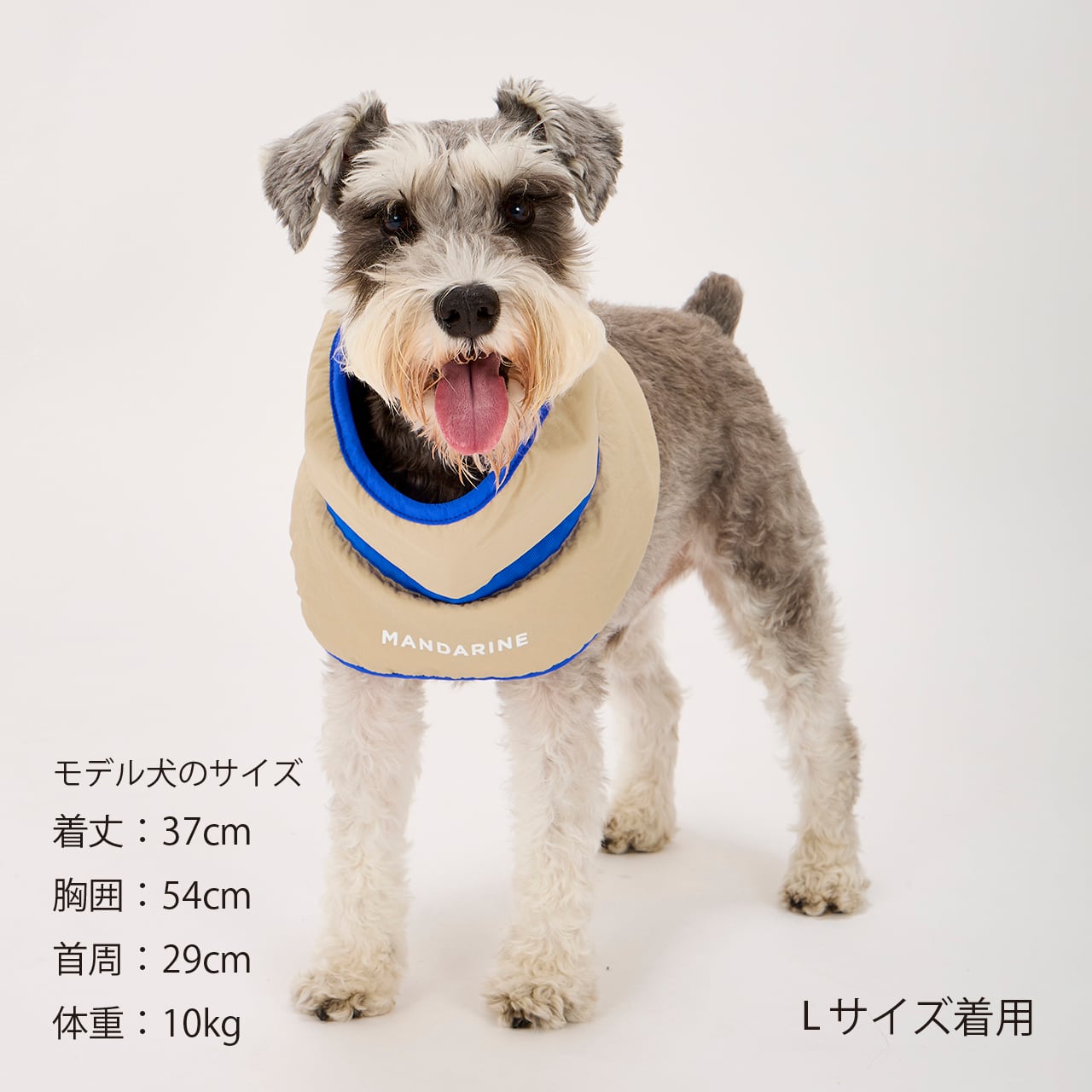 MANDARINE BROTHERS COOLING COLLAR