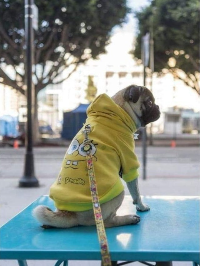 Official Licensed SPONGEBOB X FRESH PAWZ SB Face Hoodie