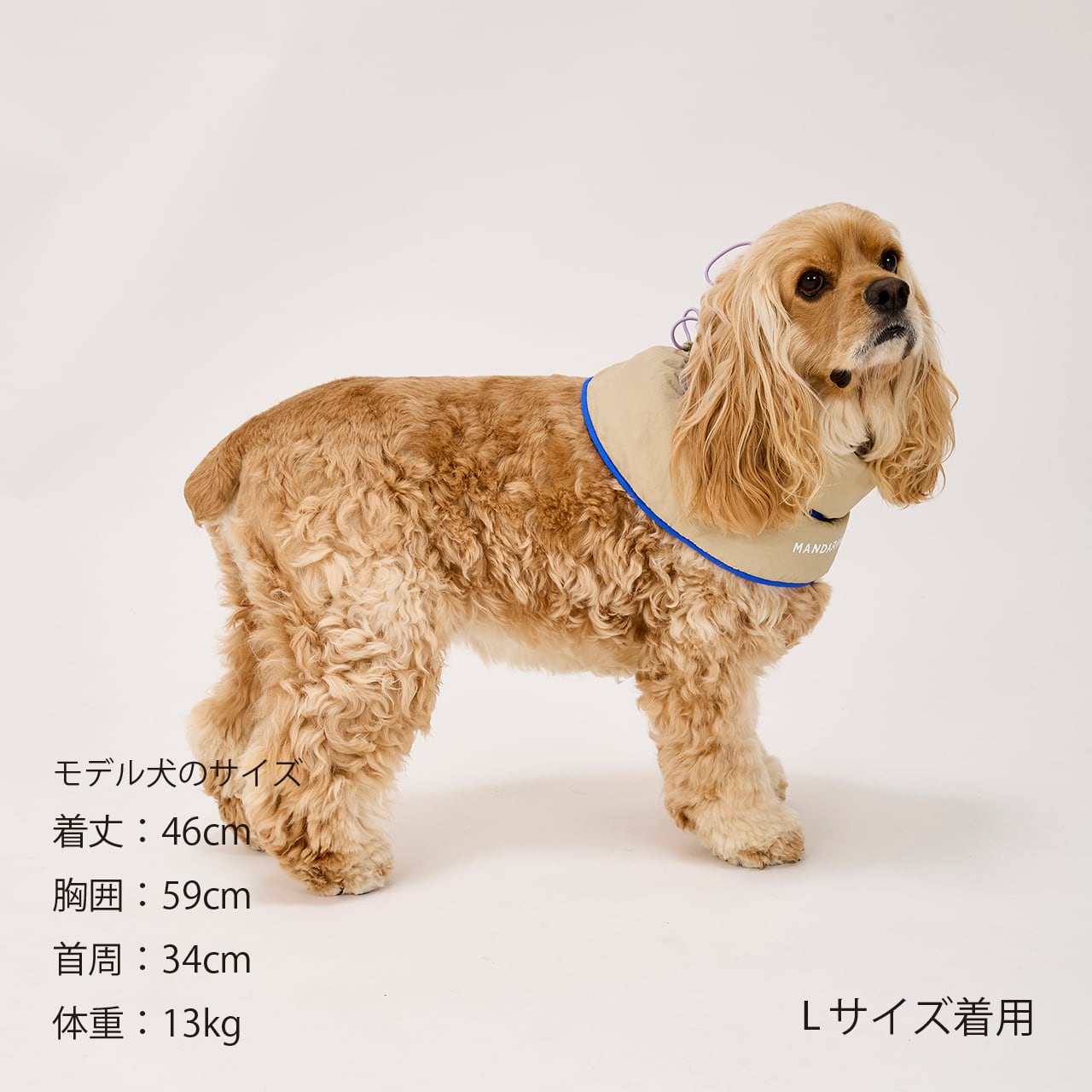 MANDARINE BROTHERS COOLING COLLAR