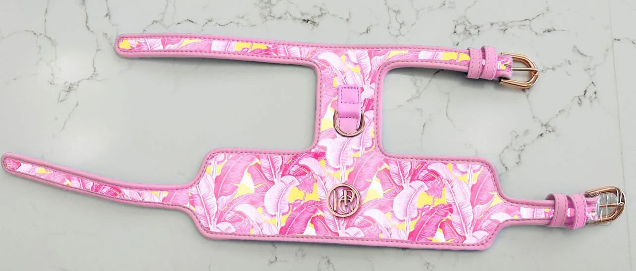 HGP Dog Harness-The Birds of a Feather