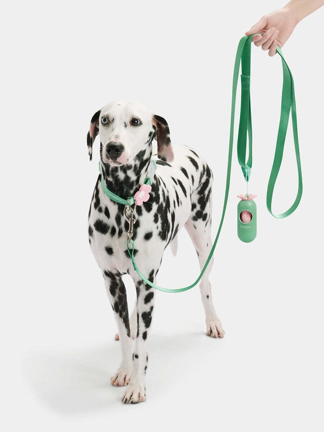 VETRESKA FLORA PET POOP BAGS SET