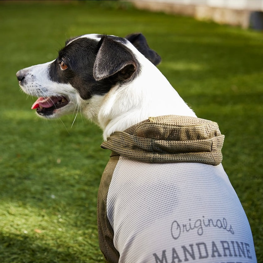 MANDARINE BROTHERS INSECT SHIELD MESH SUIT