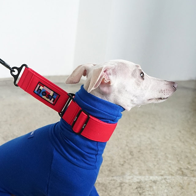hosh Primary Collar Red