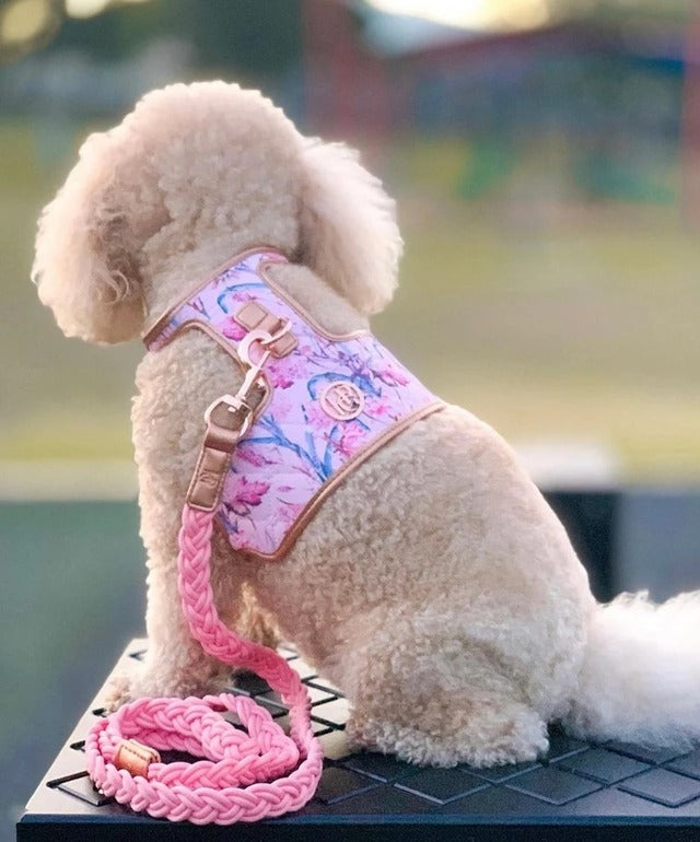 HGP Dog Harness-The Lady
