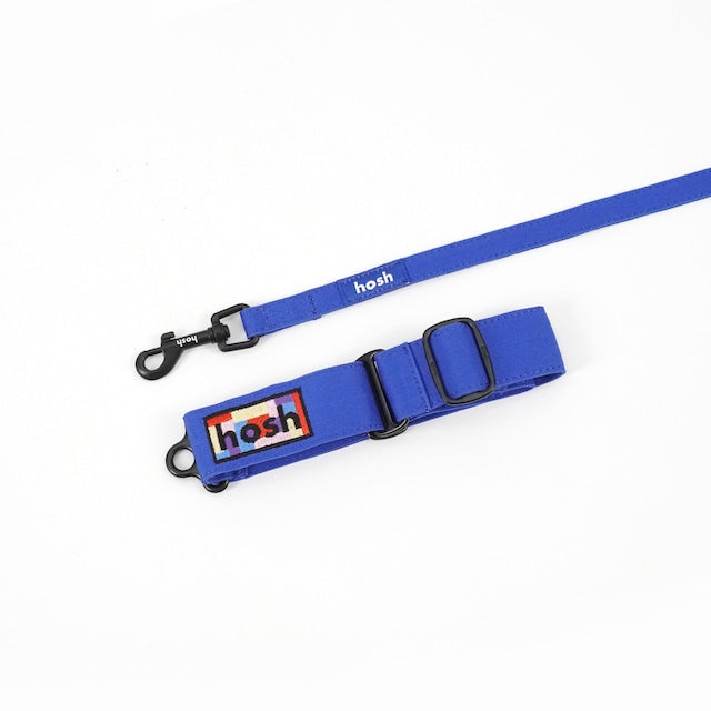 hosh Primary Leash Blue