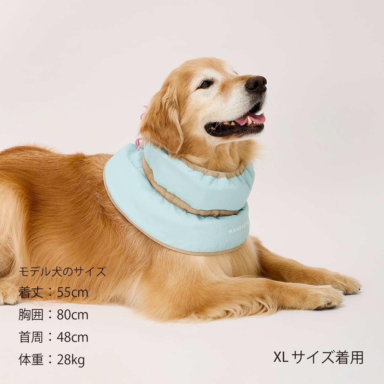 MANDARINE BROTHERS COOLING COLLAR