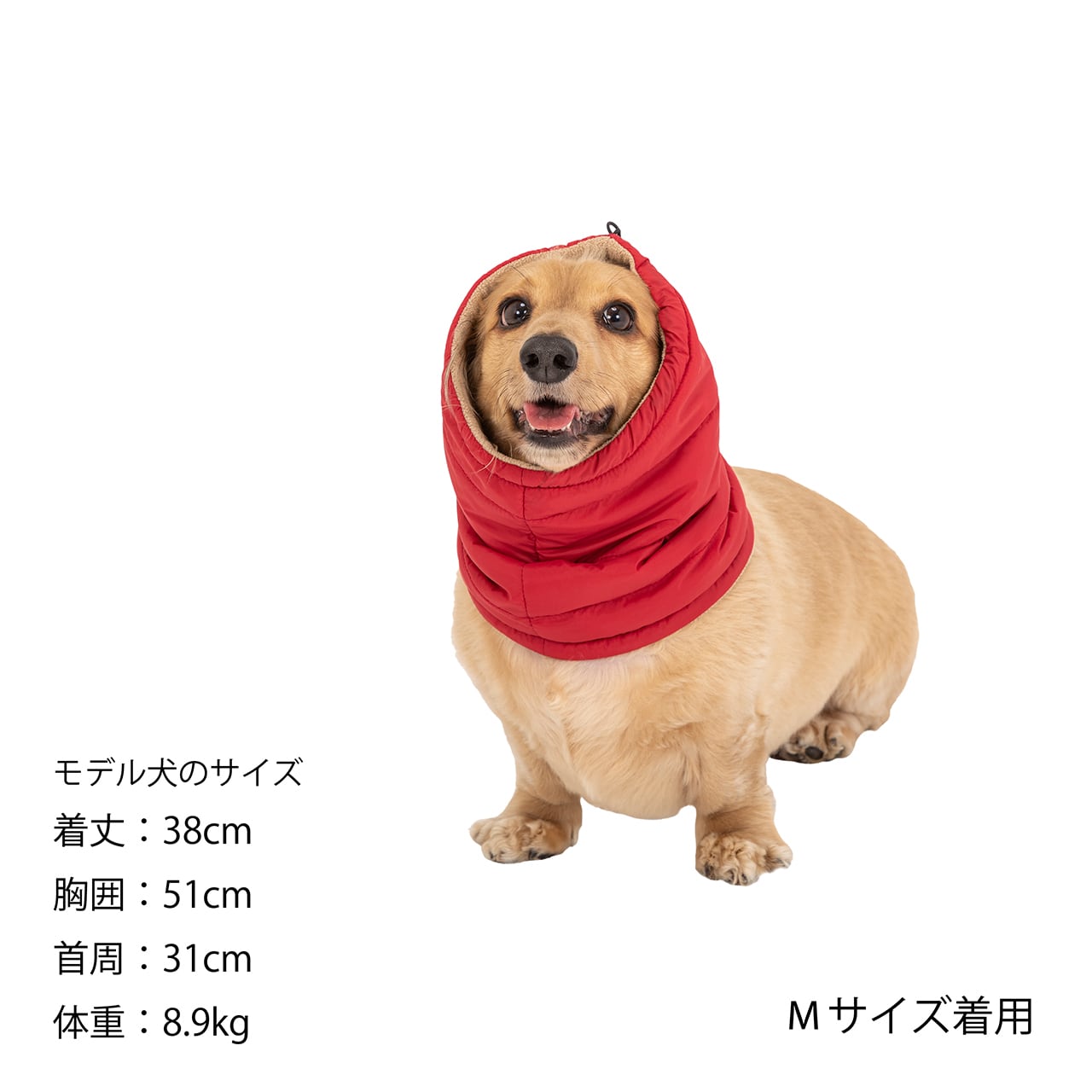 MANDARINE BROTHERS NECK WARMER