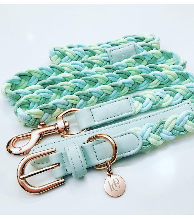 HGP Dog Leash Plaited