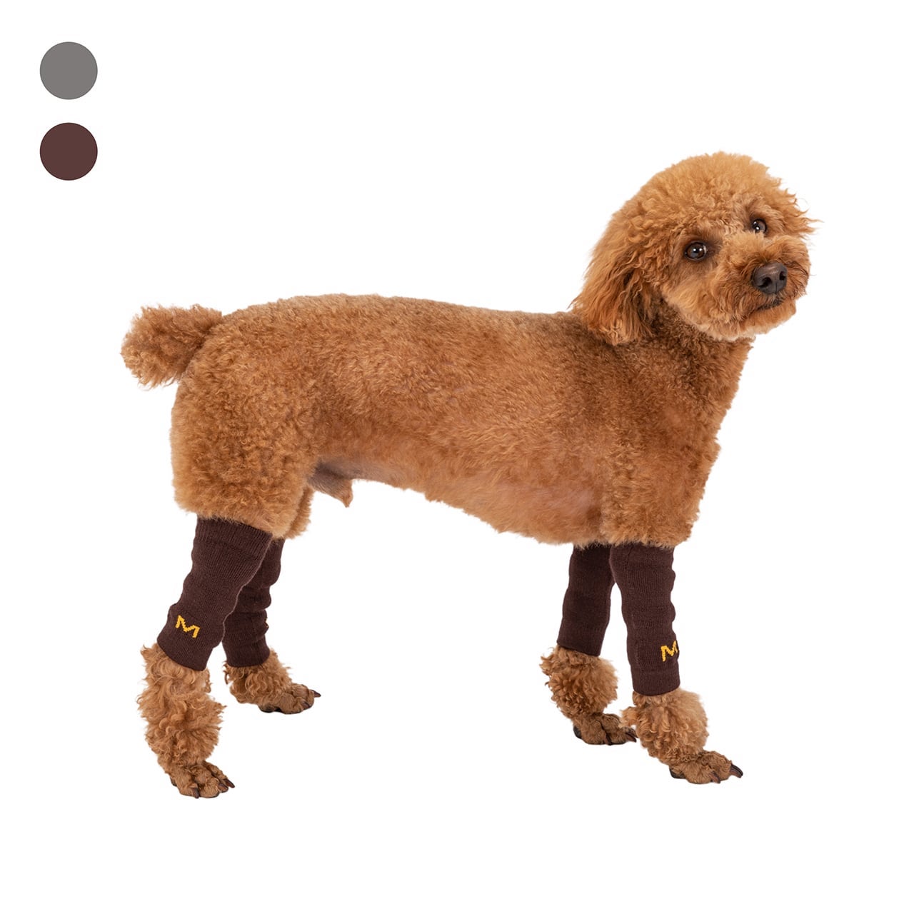 MANDARINE BROTHERS LEG WARMER