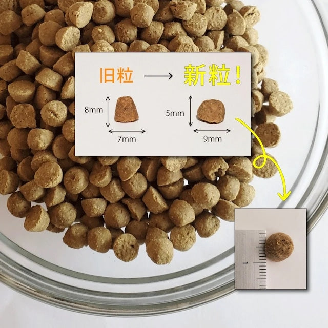 OVEN-BAKED TRADITION GRAIN FREE RED MEET DOG FOOD