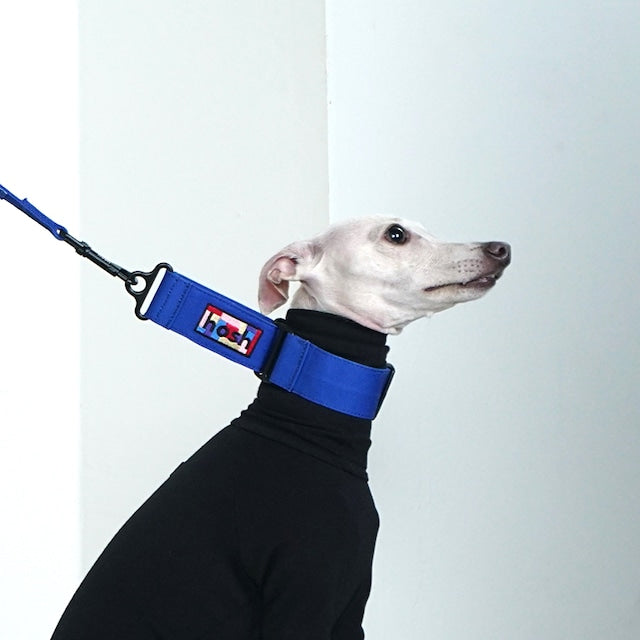 hosh Primary Collar Blue