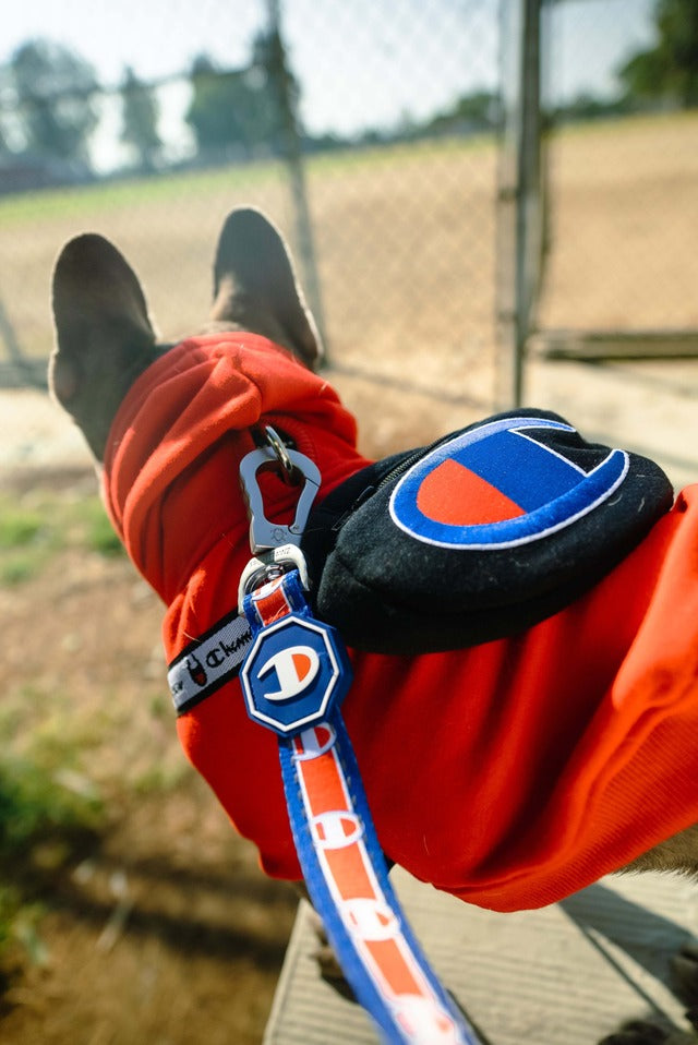 CHAMPION X FRESH PAWZ | LEASH