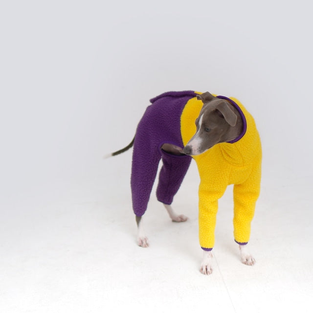 hosh Mars Half Fleece Jumper Yellow/Purple