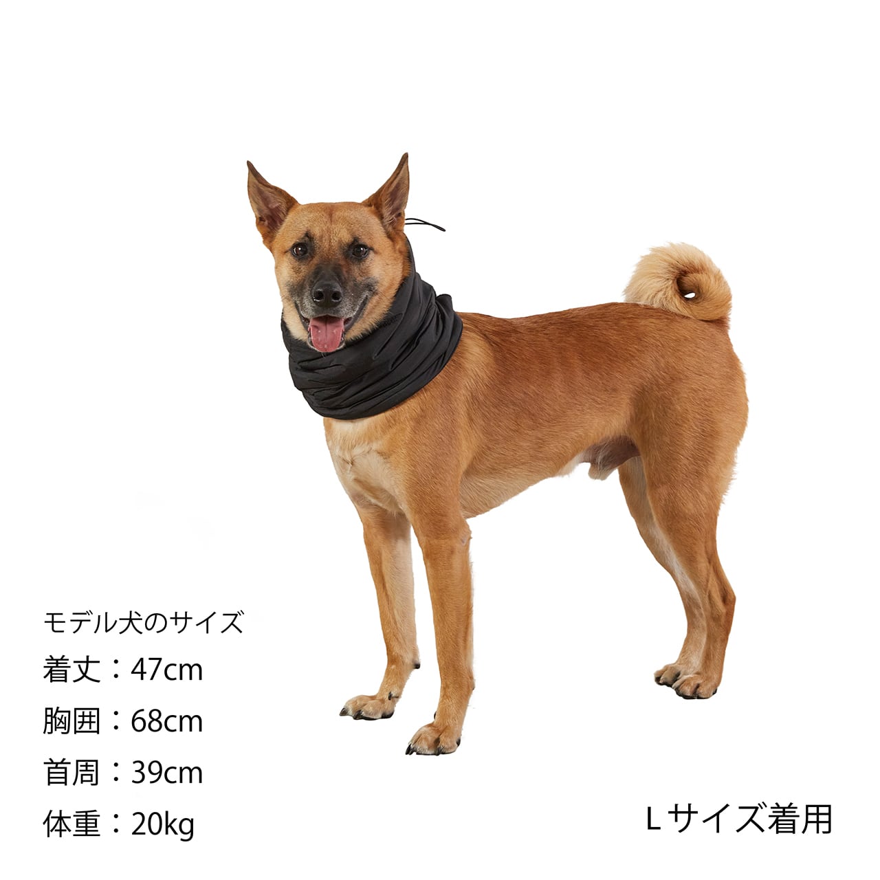 MANDARINE BROTHERS NECK WARMER