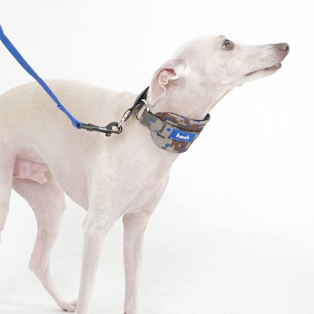 hosh Camo Collar Blue-Dot