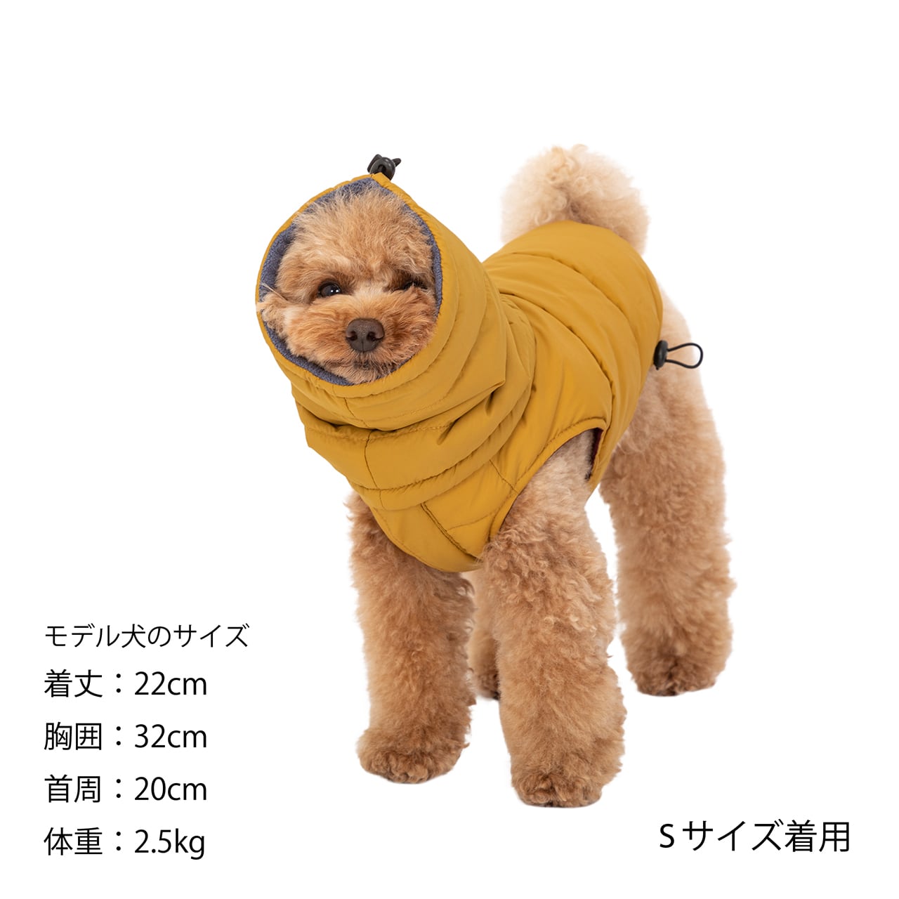MANDARINE BROTHERS NECK WARMER